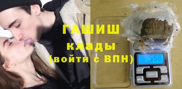 эйфоретик Ельня