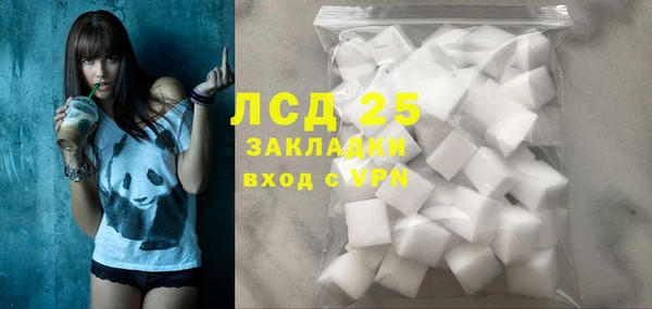 эйфоретик Ельня