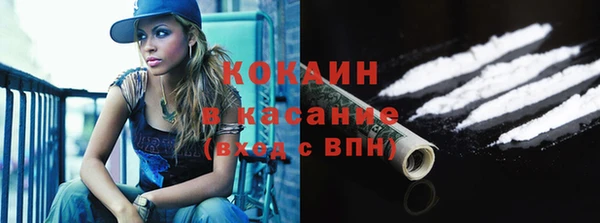 эйфоретик Ельня