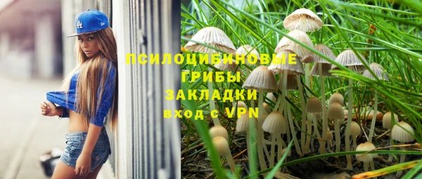эйфоретик Ельня