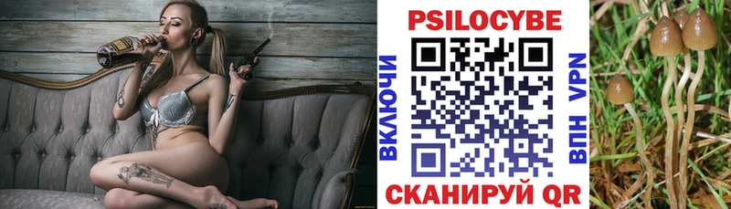 Купить  Ржев  Галлюциногенные грибы мицелий 